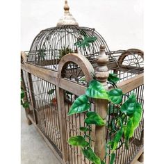 a bird cage with plants growing out of it