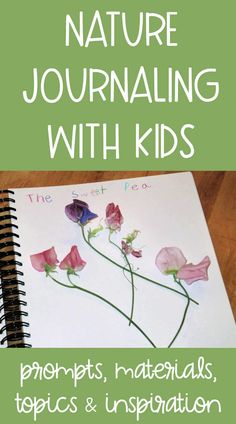 a notebook with flowers drawn on it and the words nature journaling with kids written below