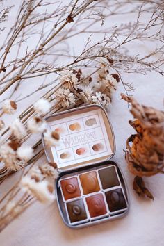 an open box of chocolates sitting on top of a table next to dried branches