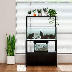 a room that has some plants on top of it