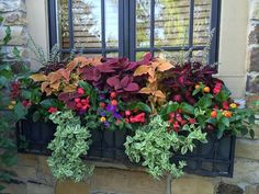 a window box filled with lots of colorful flowers