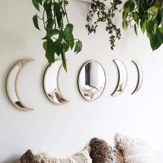 three mirrors are hanging on the wall above a couch with pillows and plants in front of them