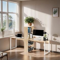 there is a desk with two computers on it and a plant next to the desk