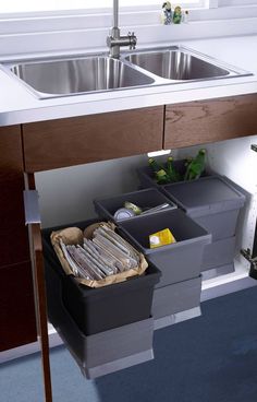 a kitchen sink with two bins under it