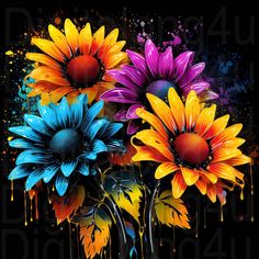 three colorful flowers are in a vase on a black background with paint splatters