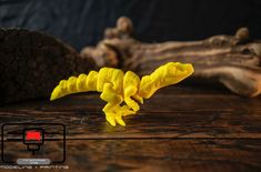 a yellow flower sitting on top of a wooden table next to a piece of wood