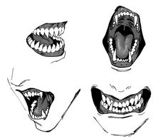 four different angles of the mouth and teeth of an animal's head with sharp teeth