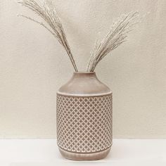 a vase with some plants in it on a white counter top next to a wall