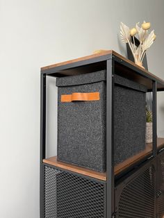 a black and brown shelf with some sort of storage unit on top of it, next to a plant