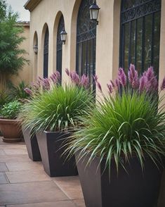 three large planters with purple flowers in front of a building