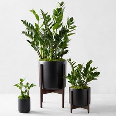 three planters with plants in them sitting next to each other