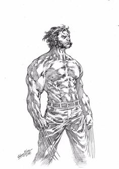 a pencil drawing of wolverine from the avengers movie, with his hands on his hips