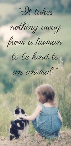 It takes nothing away from a human to be kind to an animal. Animal Lover Quotes, About Animals, Animal Rights, Dog Quotes, Amazing Quotes, A Quote, Border Collie, Animals Friends