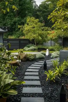 a garden with rocks and plants in the foreground, along with a path between two buildings