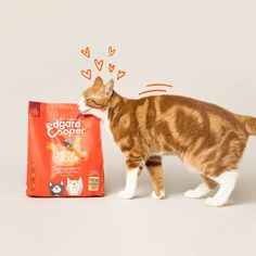 an orange and white cat standing next to a bag of catnip on a white background