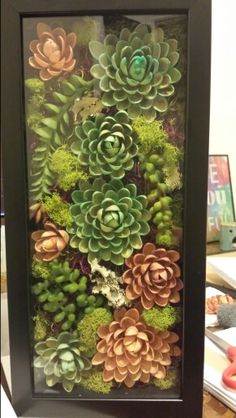 an arrangement of succulents is displayed in a black frame on a table