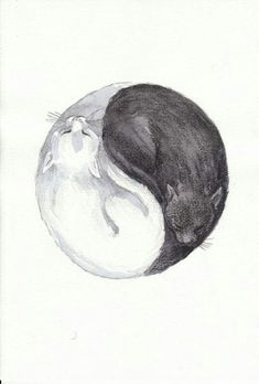 a black and white drawing of a cat sleeping on top of another cat's head