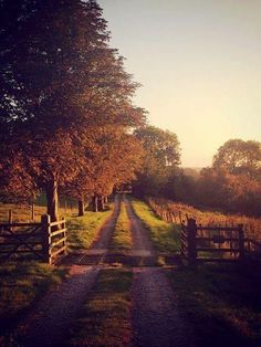 a dirt road with trees on both sides and a fence in the middle that leads to an open field