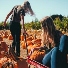 two women picking up pumpkins in a field with other pumpkins on the ground