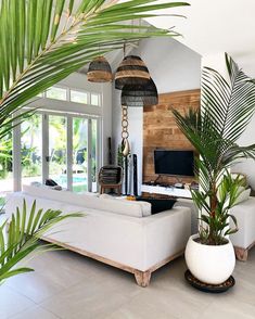 a living room filled with white furniture and lots of green plants on top of it