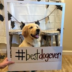 a dog is holding up a sign with the words best dog ever written on it