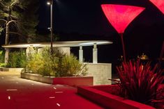 red lights shine brightly in the night sky above some plants and trees on a sidewalk