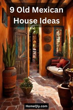 an old mexican house with potted cacti and cactus in the entry way