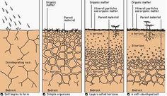 four stages of soiling in the ground, with different types of soil and water