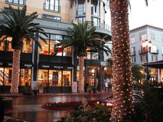 palm trees are lit up in front of the shops