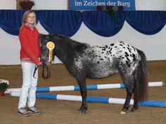 a woman standing next to a black and white horse in an indoor arena with blue poles