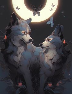 two white wolfs facing each other in front of a full moon and butterfly background