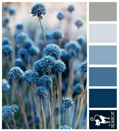 the color scheme is blue and gray, with some flowers in it's center