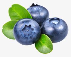 three blueberries with green leaves on white background