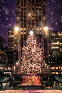 a large christmas tree sitting in front of a tall building with lights on it's sides