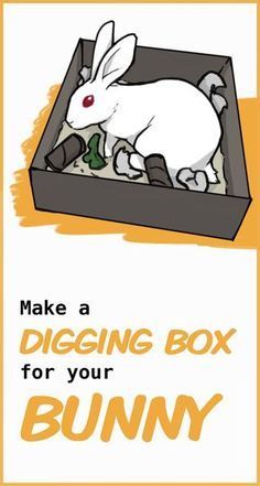 an easter bunny in a box with the words make a digging box for your bunny