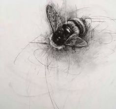 a black and white drawing of a bee