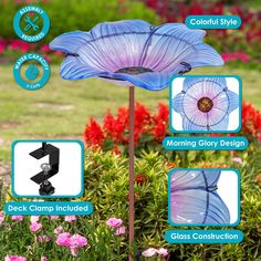 an image of a blue flower in the middle of flowers with instructions on how to use it