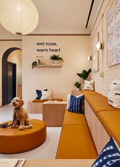 a dog sitting on top of a couch in a living room