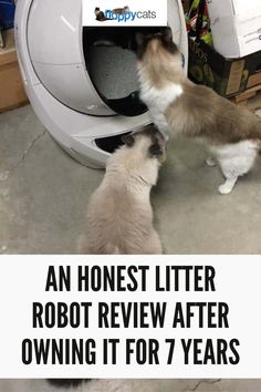 Read this honest review after 7 years of ownership to discover litter robot pros, cons, litter robot maintenance tips, and overall value. Find out if this self-cleaning litter box is worth the investment for you and your cat.Read this honest review after 7 years of ownership to discover litter robot pros, cons, litter robot maintenance tips, and overall value. Find out if this self-cleaning litter box is worth the investment for you and your cat.