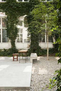 a bench sitting in front of a white building with ivy growing on it's walls