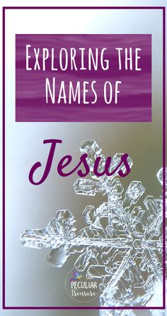 a snowflake with the words exploring the names of jesus in purple and white