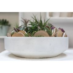 a white bowl filled with lots of different types of plants on top of a table