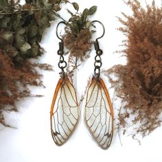 Genuine Cicada Wing Dangles. No Cicadas Were Harmed In The Making Of These Earrings. Laminated. Bronzed Hardware. Handmade. Approx. W A Little Over .5” L 2.25” Vintage Gypsy Boho Style #Winnfritt Jewelry Trendy Bohemian Hippie Tribal Spiritual Mystical Ethnic Wiccan Grunge Witch Wicca Rustic Healing Zen Serenity Peace Calming Hand Made Handcrafted Hand Crafted Teen Womens Jewelry Insect Wings Cicada Locust Nature Natural Earthy Real Insect Wings Fairy Wings Crowcore Jewelry, Cicada Earrings, Moth Jewelry, Shifting Closet, Grunge Witch, Wings Fairy, Light Fairy, Insect Wings, Fairy Accessories