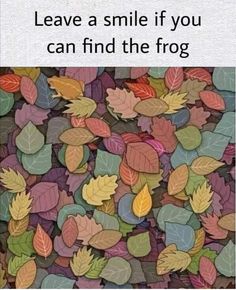 leaves with the words leave a smile if you can find the frog