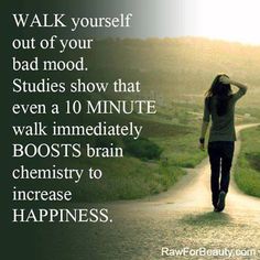 This WORKS, I'm not even kidding. If you're struggling with depression or negative emotions, if you do nothing else, go out for a short brisk walk. It really and truly helps. Power Walking, Brain Chemistry, Qi Gong, Motivation Fitness, Bad Mood, Negative Emotions, Healthy Mind, Emotional Health, Health Remedies