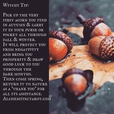 Acorn Folklore - Esu Laume Which Witch, Mighty Oaks, Eclectic Witch, Witch Spell, Baby Witch, Witch Magic, Wiccan Spells, Good Luck To You, Spells Witchcraft