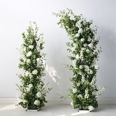 two tall green and white flowers are on display