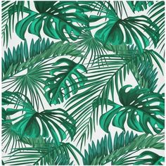 a green palm tree leaf pattern on a white wallpaper with blue and green leaves