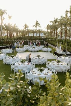 A tropical modern wedding at the Hyatt Coconut Point in Naples, Florida. Tropical Wedding Venue, Modern Tropical Wedding, Florida Wedding Reception, Tropical Wedding Reception, Destination Wedding Decor, Wedding Reception Design, Dream Wedding Decorations