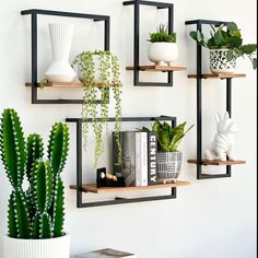 three shelves with plants and books on them